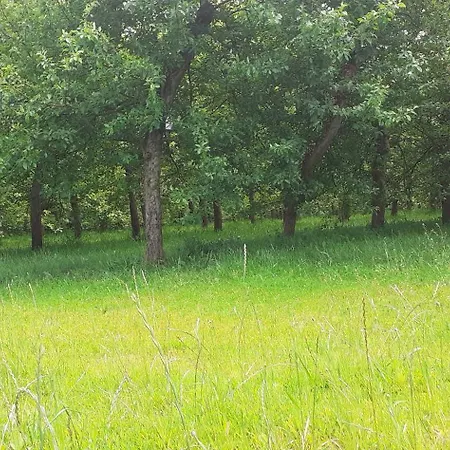 別荘 Des Pommiers *