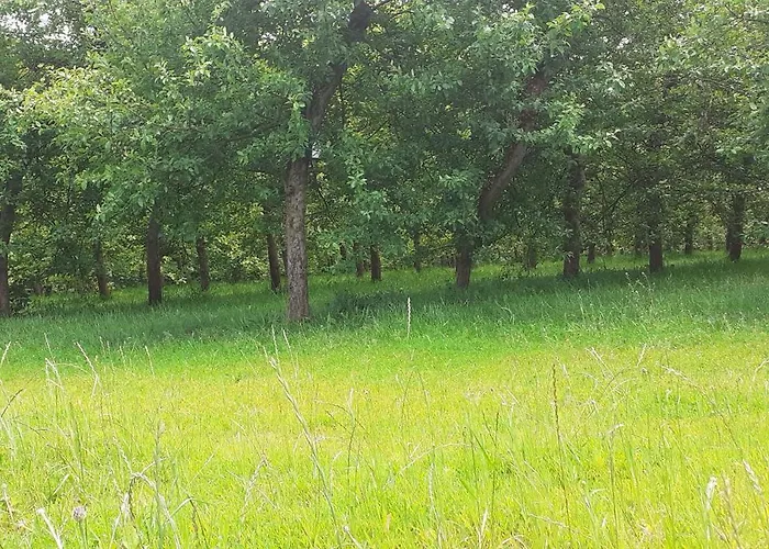 Tatil Evi Des Pommiers *